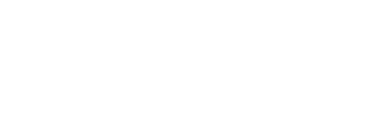 www.Frederiksvilla.dk